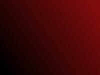 ブラッディマンディのファルコンの壁紙のバック このファルコンの壁紙のバッ Yahoo 知恵袋