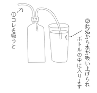 ベアタンク水槽掃除 僕は 30ｃｍ水槽でベアタンクでワイルドベタ4匹 Yahoo 知恵袋