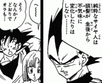 ドラゴンボールでべジータがサイヤ人は髪型は変わらないって言う場面があっ Yahoo 知恵袋