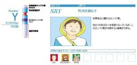 女の子を産むにはどうしたらいいですか 二分の一って言われてますからねー Yahoo 知恵袋