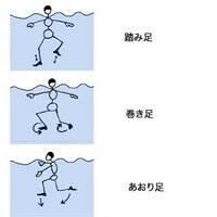 立ち泳ぎが出来ないのですが自転車こいでるみたいに足を動かすやり方で間違いない Yahoo 知恵袋