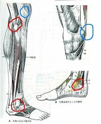 内股の治し方 今高校１年の男なんですけど何故か小さい頃から内股なんです Yahoo 知恵袋