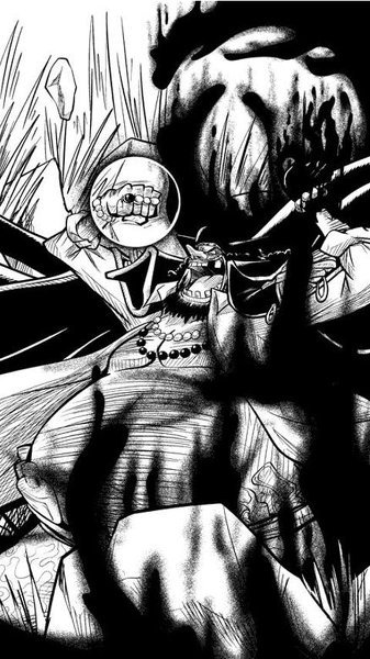 ワンピースでルフィ達がジャヤに着いたとき ルフィとゾロは Yahoo 知恵袋