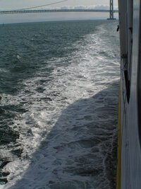 婚期を逃したと後悔している女性の方へ質問です 自分はもう Yahoo 知恵袋