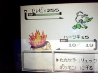 ポケモンクリスタルでセレビィを入手できる裏技はありますかすご Yahoo 知恵袋