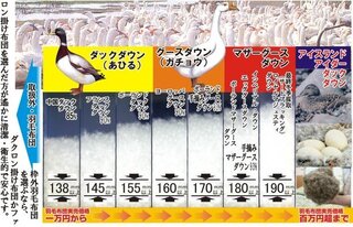 無印とニトリの布団で迷ってます 年中使うなら羽毛 羊毛混 羽毛だけ Yahoo 知恵袋