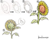 最新 ひまわり イラスト 描き 方