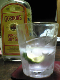 Ginについて ジントニックが大好きです 初めてのジントニッ Yahoo 知恵袋