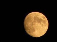 中原中也の 月夜の浜辺 ですが 言葉の羅列 作文みたいで今まで素通りして Yahoo 知恵袋