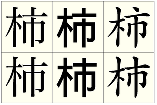 と 漢字 た 柿 似