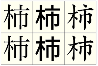 に 漢字 柿 似 た