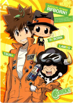 アニメ家庭教師ヒットマンreborn 最終回迎えましたね 原作スト Yahoo 知恵袋