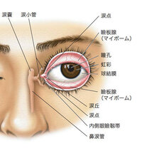 右目が涙膿炎で 今腫れがあります 慢性になっているらしく 5 Yahoo 知恵袋