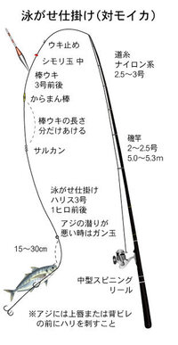 アジゴの泳がせ釣りで アオリイカを狙ってみたいと思いますが どんな仕掛け Yahoo 知恵袋