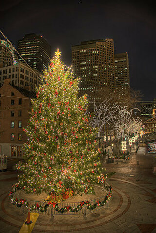 日本一大きいクリスマスツリーは 西と東のテーマパークのどちらのツリーですか Yahoo 知恵袋