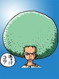 ワンピース５９９話ゾロとフランキーについて５９９話でゾロとフ Yahoo 知恵袋