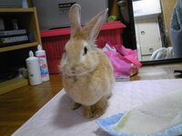 Specについて今日ドラマの中でケイゾクに出てた刑事がケイゾクの資料を持ってく Yahoo 知恵袋