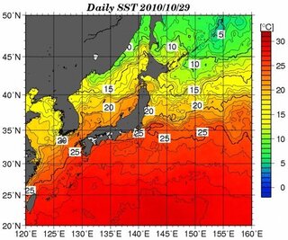 エギングシーズン終盤でしょうか 福岡県 福岡県にある筑前大島は Yahoo 知恵袋