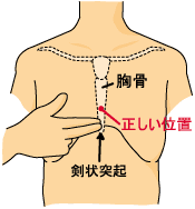 心臓の下の骨の中のほうってなんていうかわかりますか 剣状突起のことじゃ Yahoo 知恵袋