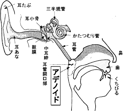 耳の中でポコポコ音がする 片耳 知恵袋 site:detail.chiebukuro.yahoo.co.jp