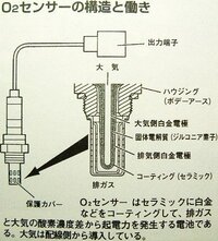 回答の画像