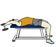 昨日プルオーバーをやったのですが 筋肉痛になった部分が胸筋と背中の筋肉 Yahoo 知恵袋