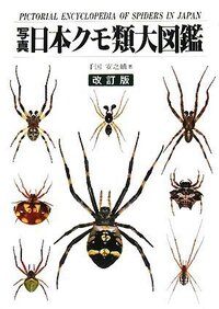 クモは冬を越すんですか クモは虫を食べないと生きていけないか Yahoo 知恵袋