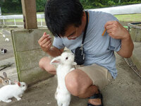 うさぎを大量に放し飼いしている動物園や島 うさぎ島 カフェなどを探し Yahoo 知恵袋
