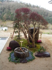 伸びきった庭木 つつじ の処置についてお尋ねします 植えてから２ Yahoo 知恵袋