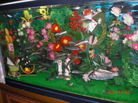 熱帯魚に使っているヒーターが 温まりません ２６ 設定のオートヒ Yahoo 知恵袋