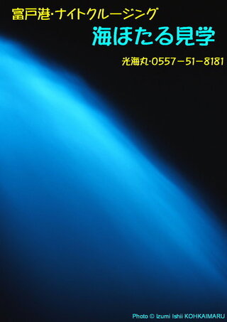 関東でウミホタル 海蛍 が見れるとこってありますでしょうか Yahoo 知恵袋