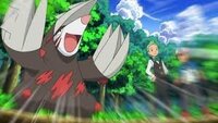 ポケモンのペンドラーについて ペンドラーって可愛いですよね Yahoo 知恵袋