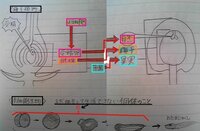 果実と胚と胚珠と種子の違いって何ですか 種子 しゅし とは被 Yahoo 知恵袋