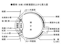 トップ ライターの火 目が痛い