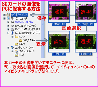 デジカメ Sdカード で撮ったデータをパソコンで見るには 何か専用の Yahoo 知恵袋