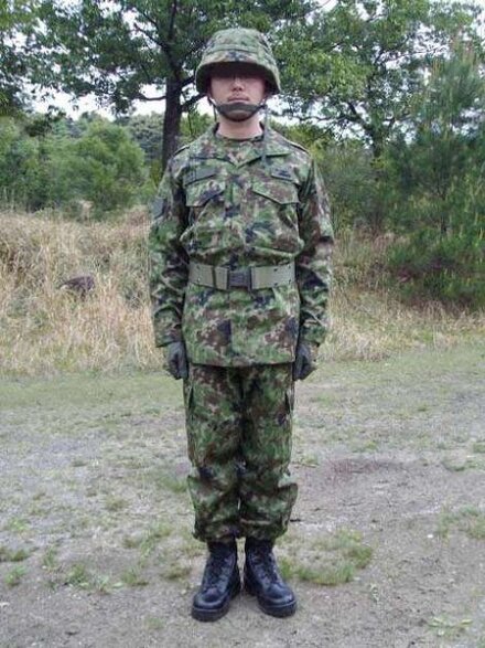 予備自衛官補の訓練時の服装はどのようなものですか やはり自衛 教えて しごとの先生 Yahoo しごとカタログ
