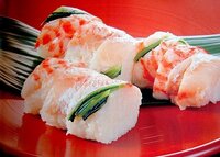 手綱寿司を英語で何と言いますか 明日 外国の方に説明したいんですが よ Yahoo 知恵袋