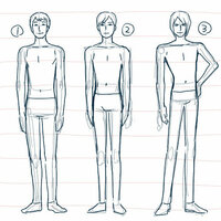 男の8頭身キャラを描きたいのですが 肩 ヘソ 股の位置はどこ位でしょうか 顔 Yahoo 知恵袋
