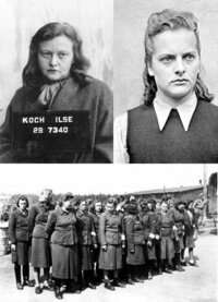 ナチス親衛隊には女性の隊員はいたのでしょうか 正規の親衛隊員に女性はおり Yahoo 知恵袋