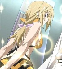 ｉｓ インフィニット ストラトス で 一番人気のあるキャラは誰ですか Yahoo 知恵袋