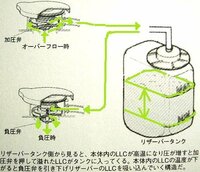 回答の画像