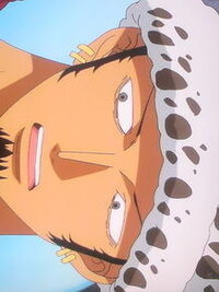 サボ ドフラミンゴ Orトラファルガー ロー Orキッド Orキラー Or Yahoo 知恵袋