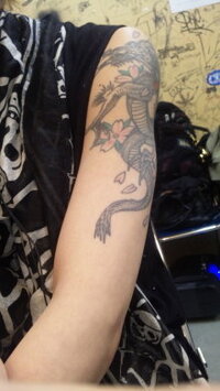 シドのマオさんの左腕 桜とチェリーと竜 のタトゥーと 右腕 黒の Yahoo 知恵袋