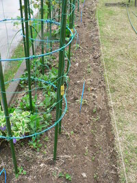 芝生が隣の敷地まで伸びてしまっています 芝生止めをしましたが止まりませんど Yahoo 知恵袋