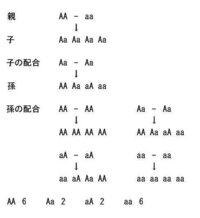 植物の遺伝の問題です 丸い種子を作る純系のエンドウとしわの種子を作る純系の Yahoo 知恵袋