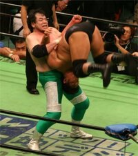 プロレス 勝ち負け プロレスって 勝ち負けは最初から決まっている 決めている のですよ Amp Petmd Com