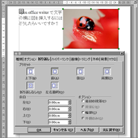Openofficewriterで文字の横に図を挿入するには Yahoo 知恵袋