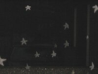 写真に写る白い玉についてなんですが あれはホコリがフラッシュで反射したもの Yahoo 知恵袋