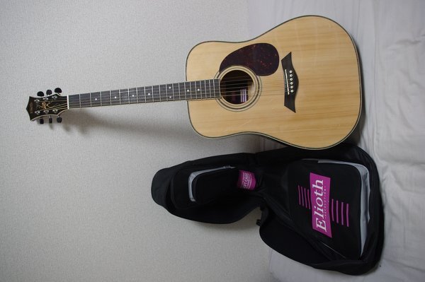 Elioth アコースティックギター アコースティックギター Elioth revolution - メルカリ