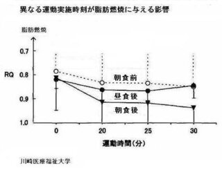 朝ウォーキングする場合 食前と食後どちらにするのが ダイエットに効果が大きいで Yahoo 知恵袋